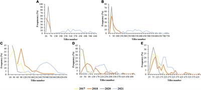 Four-Year and Five-Developing-Stage Dynamic QTL Mapping for Tiller Number in the Hybrid Population of Agropyron Gaertn.